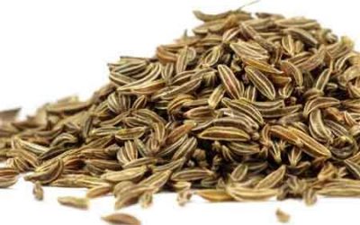 Római kömény (Cumin)