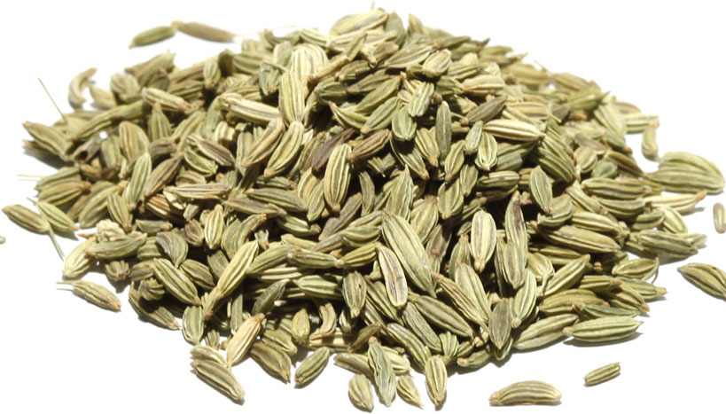Édeskömény (Fennel)